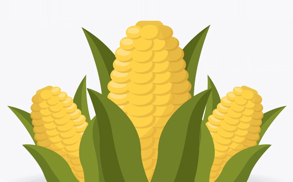 The Omnivore’s Dilemma: The Search for a Perfect Meal in a Fast-food World